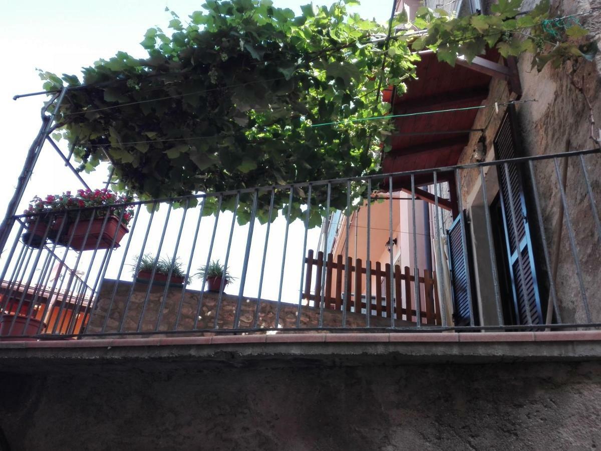 Casa Marilena Appartement Malcesine Buitenkant foto
